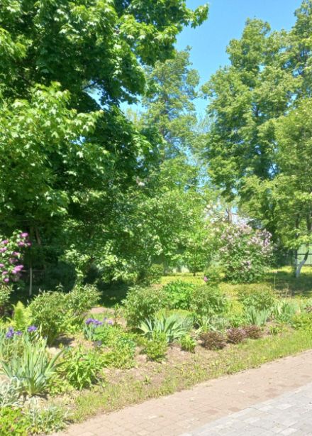 Игры в музейном дворике