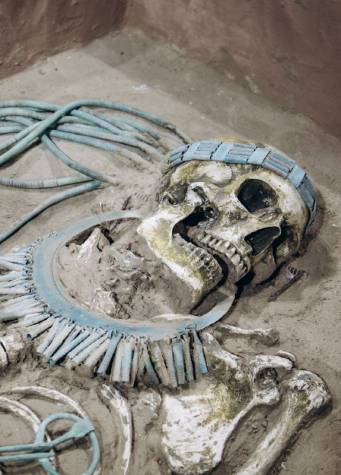 Археология. От раскопа до музея. Интерактивная программа