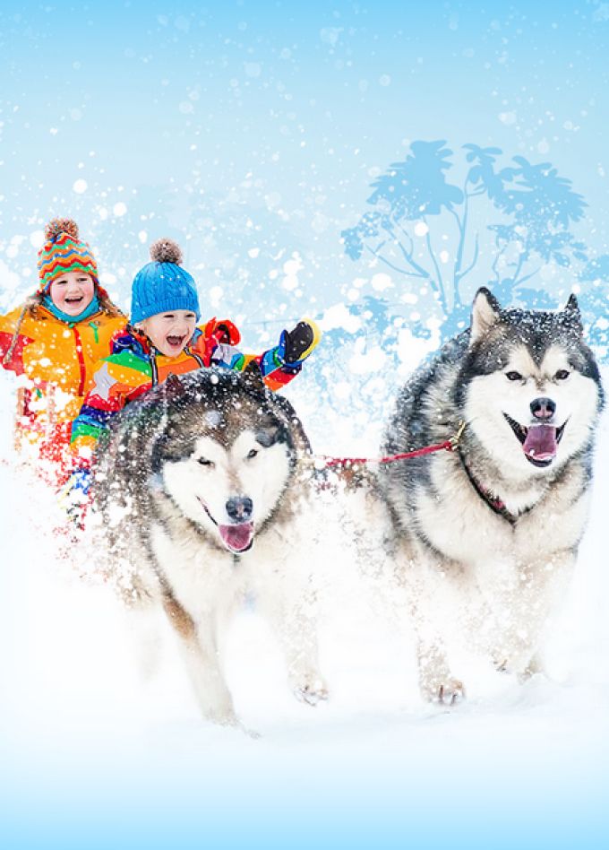 С хаски по дороге в сказку