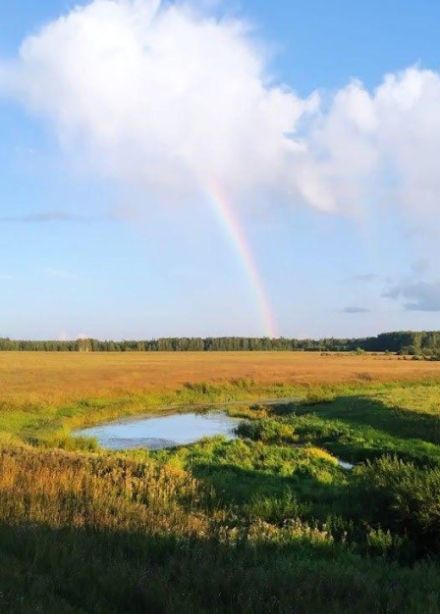 Тропинками родного края. Краеведческая программа