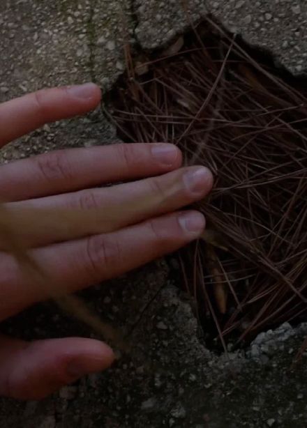 Док индустрия: короткий метр (блок из трех фильмов)