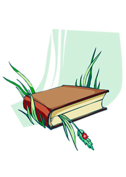 Родного города черты. Историческое путешествие