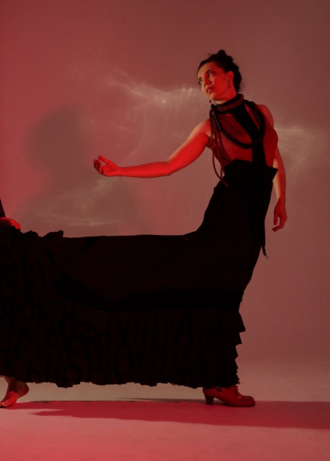 Salvador. Спектакль фламенко