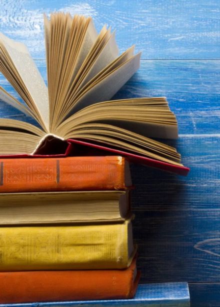 Программа «Книжные ралли»