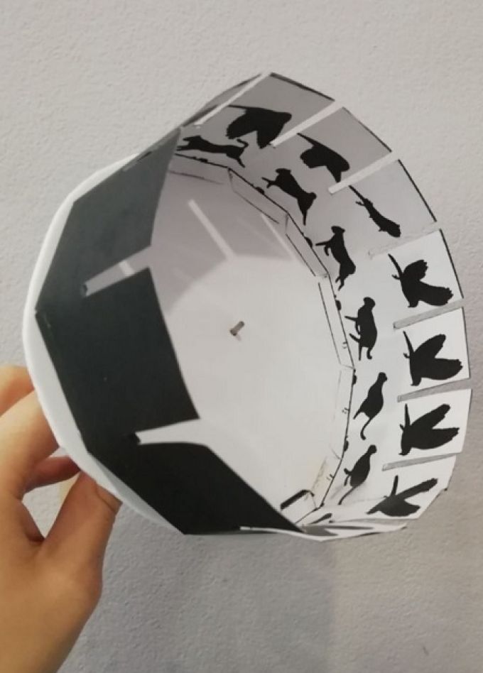 Зоотроп. Музей занимательных наук Кварки