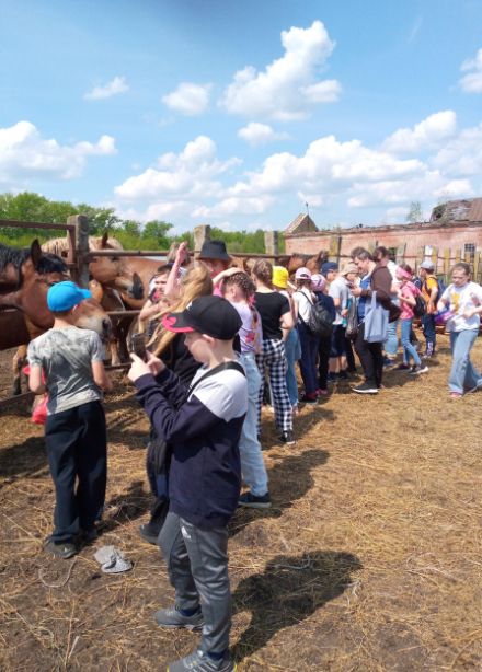 Страницы истории конного завода. Экскурсия