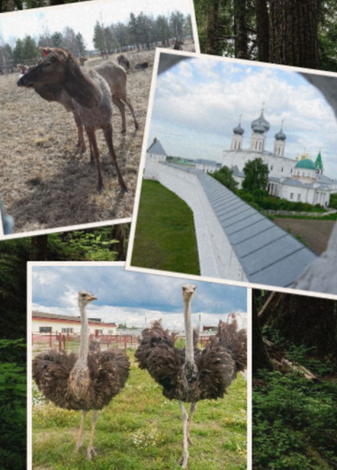 Экскурсия 3 в 1: Олени, страусы, Макарьевский монастырь